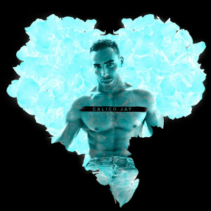 Dengarkan Sold Out (Explicit) lagu dari Calico Jay dengan lirik