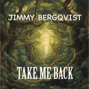 收聽Jimmy Bergqvist的TAKE ME BACK (feat. Aerhalev)歌詞歌曲