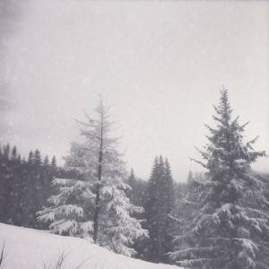 Listen to Waiting for You in the Cold song with lyrics from Pulsar