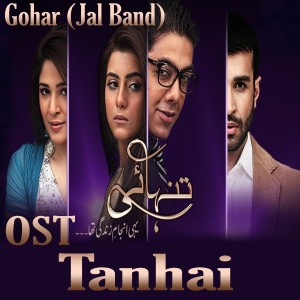 Dengarkan Tanhai (From "Tanhai") lagu dari Gohar Jal Band dengan lirik