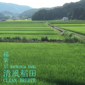 Listen to 清風稻田 song with lyrics from 杨紫京