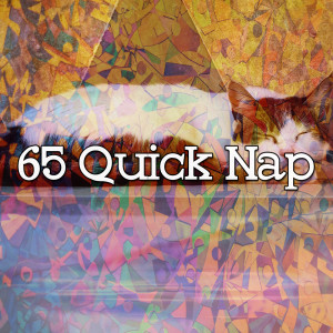 Einstein Baby Lullaby Academy的专辑65 Quick Nap