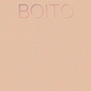 Various Artists的專輯Boito