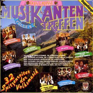 Listen to Damenwahl song with lyrics from Zillertaler Schurzenjager