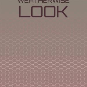 Various的专辑Weatherwise Look