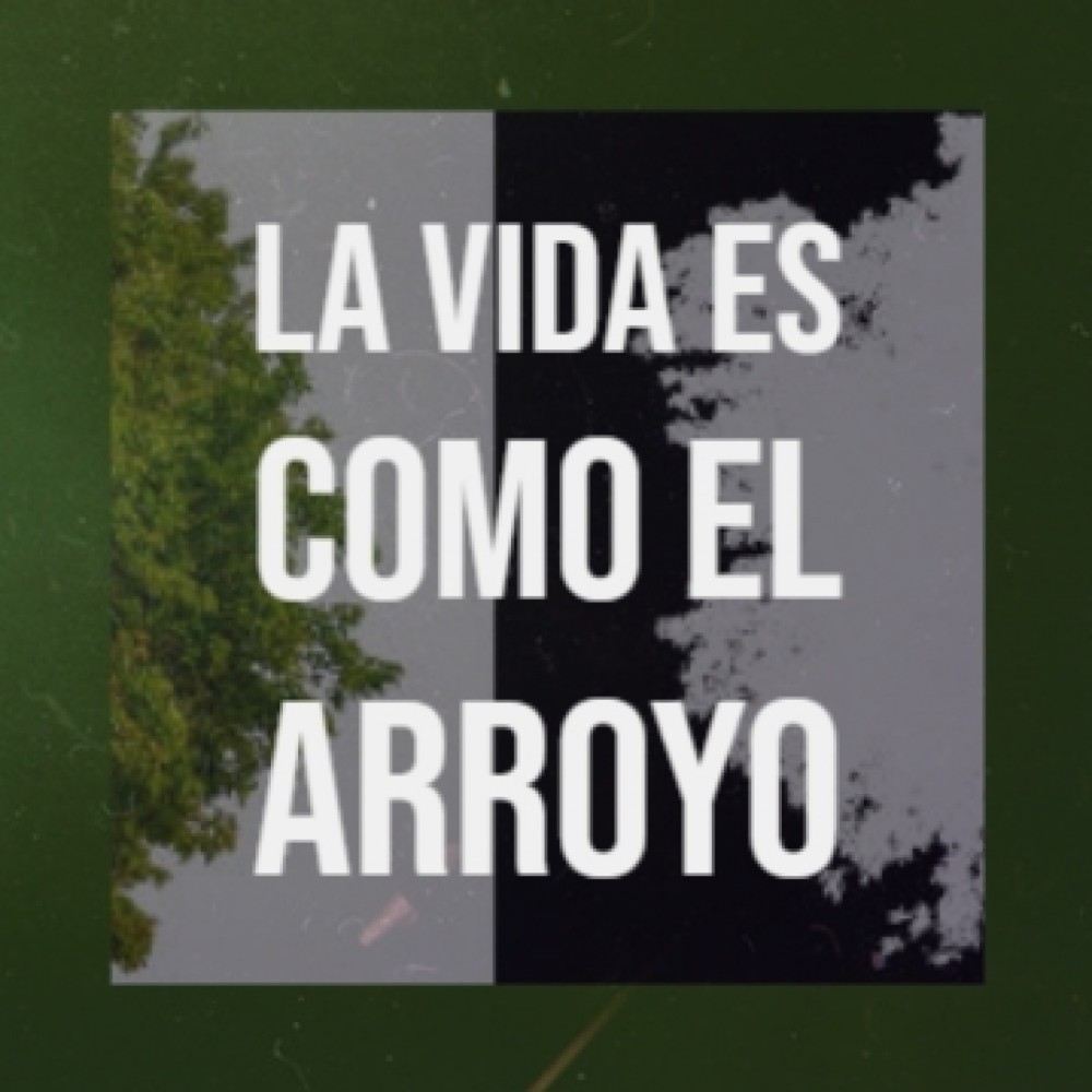Fuiste La Paloma Mia