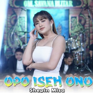 Dengarkan Opo Iseh Ono lagu dari Shepin MIsa dengan lirik