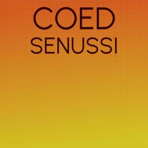 Various的专辑Coed Senussi