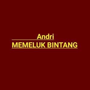 Andri的专辑Memeluk Bintang