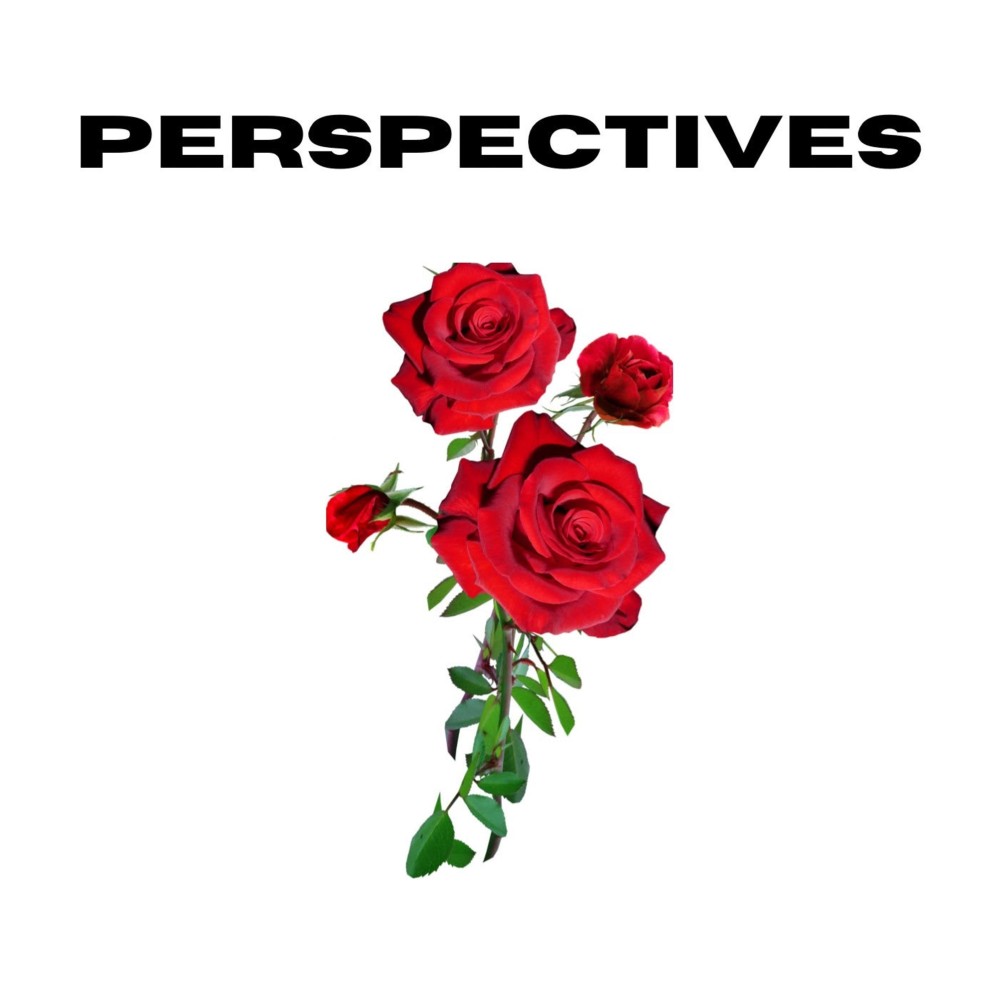 Perspectives (Clean Version)