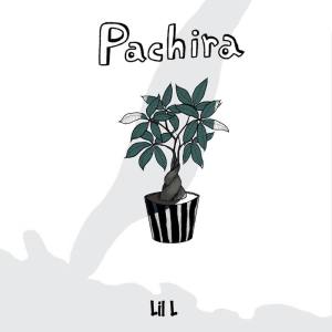 Album Pachira from Lil L