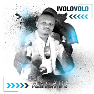 Album Ivolovolo from DJ Mngadi