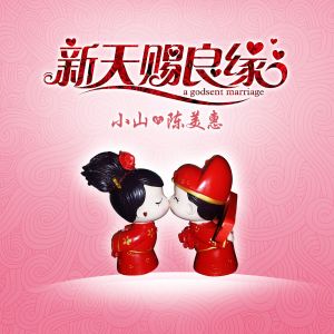 Album 新天赐良缘 from 陈美惠