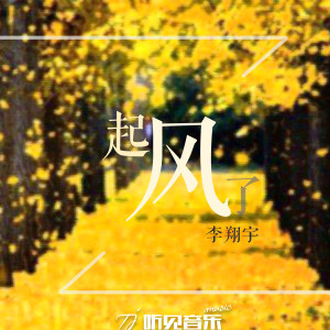 Album 起风了 from 李翔宇