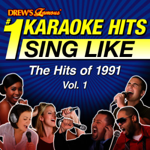 Drew's Famous #1 Karaoke Hits: Sing Like the Hits of 1991, Vol. 1