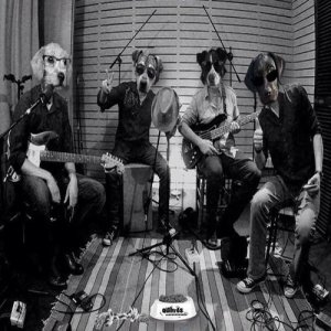 ดาวน์โหลดและฟังเพลง Ceepers Return พร้อมเนื้อเพลงจาก Los Quiltros