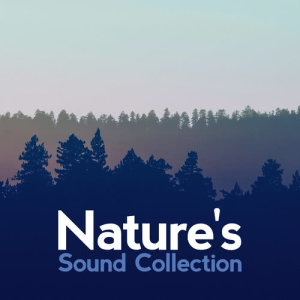 ดาวน์โหลดและฟังเพลง Birds by the Waterside พร้อมเนื้อเพลงจาก Nature Sound Collection
