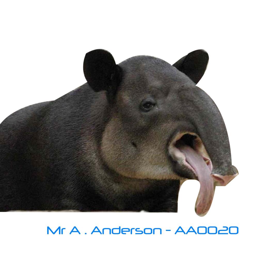 - AA0020