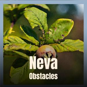 Listen to Neva Obstacles song with lyrics from Elard Hary