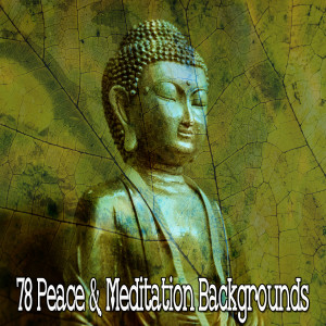 收聽Yoga的Gift of Buddhism歌詞歌曲