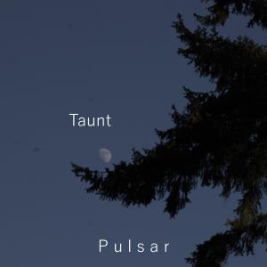 Listen to Taunt song with lyrics from Pulsar