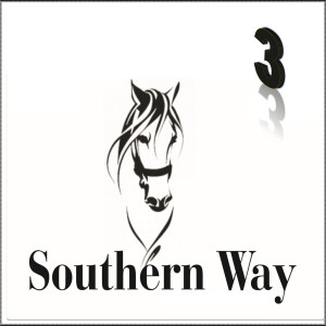 Various Artists的专辑Southern Way 3