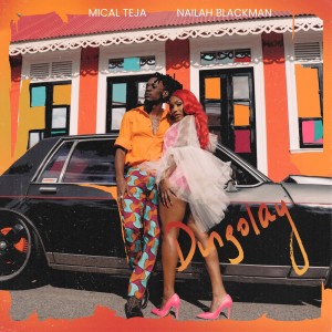 Album Dingolay oleh Mical Teja