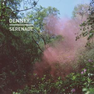 收听Denney的Serenade (Joeski Alternative Remix)歌词歌曲