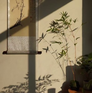 Listen to 轻叹（纸短情长无处话凄凉） song with lyrics from Shake9.