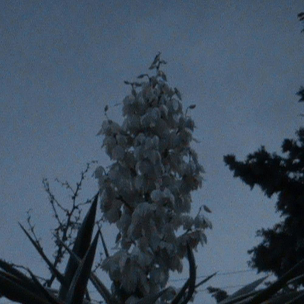 Spiraling Down (feat. Dux & ktamine) (Explicit)