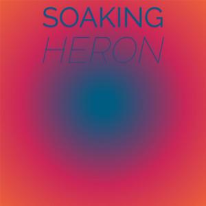 Listen to Scale Lads song with lyrics from Brita Shiva