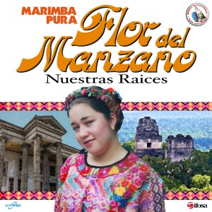 收聽Marimba Flor del Manzano的Chicha Fuerte歌詞歌曲