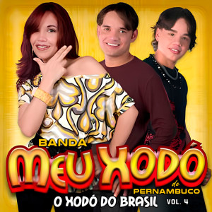 收聽Banda Meu Xodó De Pernambuco的Distantes Sob A Mesma Lua歌詞歌曲