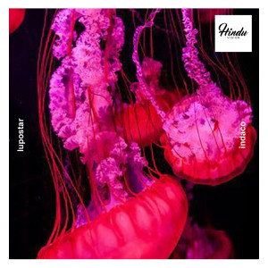 Album Indaco from Lupostar