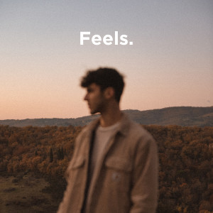 ดาวน์โหลดและฟังเพลง Feels. (Explicit) พร้อมเนื้อเพลงจาก BIONT