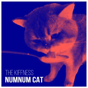 Numnum Cat