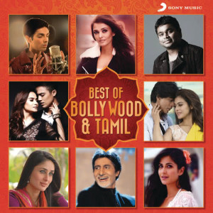 Iwan Fals & Various Artists的專輯Best of Bollywood & Tamil