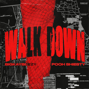 Walk Down (feat. Pooh Shiesty) dari Pooh Shiesty