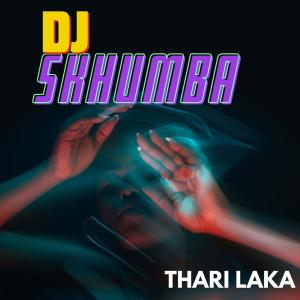 ดาวน์โหลดและฟังเพลง Thari laka พร้อมเนื้อเพลงจาก DJ Skhumba
