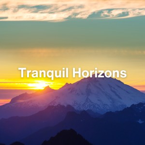 Album Tranquil Horizons from Pilates Music
