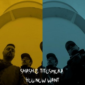 收听Shash的You Now Want歌词歌曲