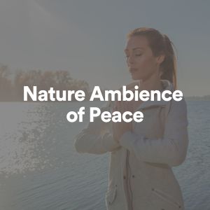 Album Nature Ambience of Peace oleh Rain Sounds