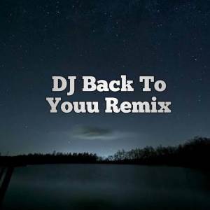 Album DJ Back To Youu Remix from 