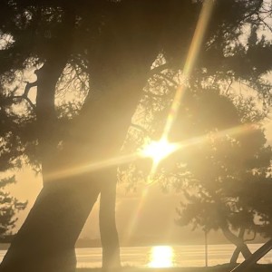 Listen to 燃え盛る炎の空間に song with lyrics from D.Jewelry