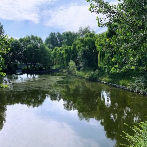 Album 心齐梦就圆 from 吴可畏