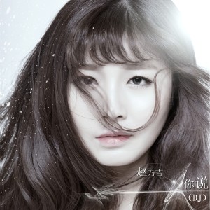 收听赵乃吉的你说 (DJ版)歌词歌曲