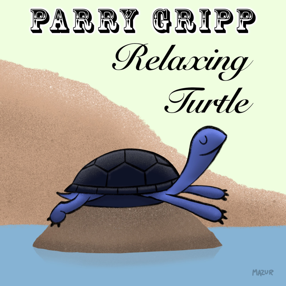 Relaxing Turtle