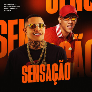 MC Menor ZL的专辑SENSAÇÃO