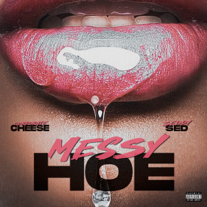 Album Messy Hoe (Explicit) from Corporate Cheese