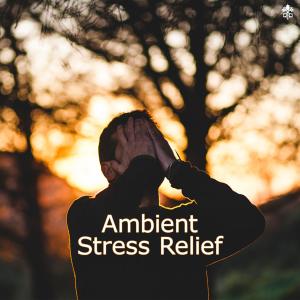 Album Ambient Stress Relief from Alex Doan